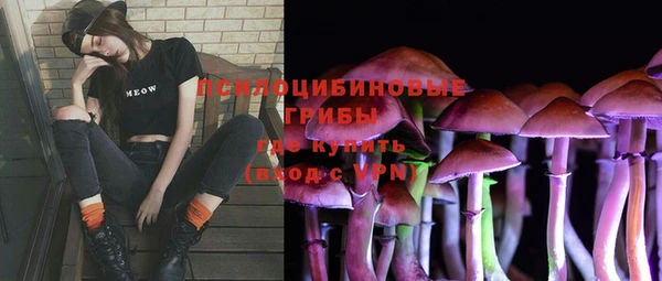 PSILOCYBIN Баксан