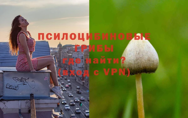 дживик Каменка