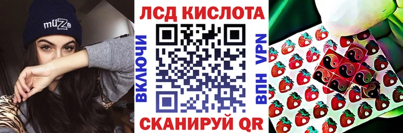 MEGA ССЫЛКА Кировск Марки 25I-NBOMe 1,5мг как найти закладки