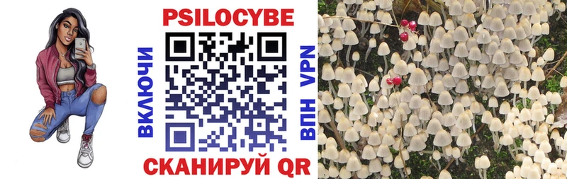 как найти наркотики  Кировск  MEGA ONION  Галлюциногенные грибы мухоморы 